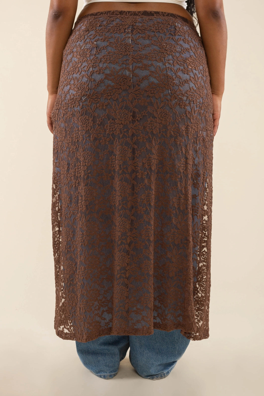Sheer Lace Skirt