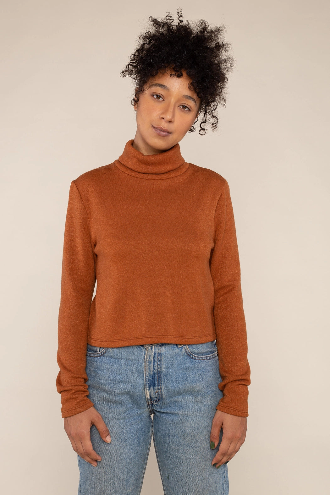 Heavy Knit Crop Turtleneck Top