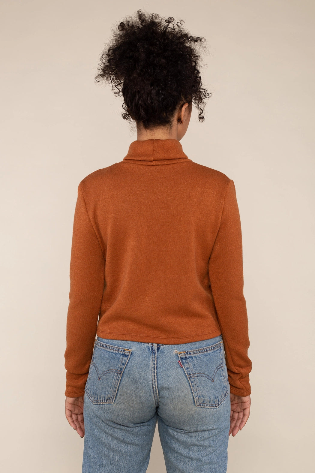 Heavy Knit Crop Turtleneck Top